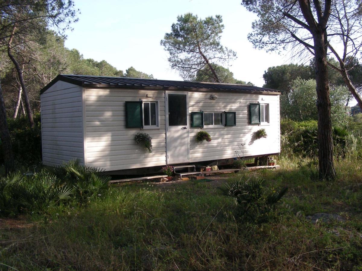 Villaggio Camping Nurral Fertilia Chambre photo