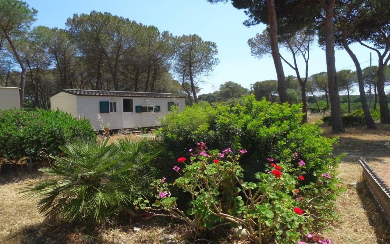 Villaggio Camping Nurral Fertilia Chambre photo